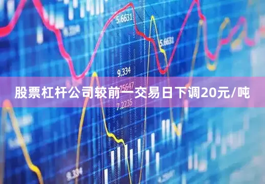 股票杠杆公司较前一交易日下调20元/吨