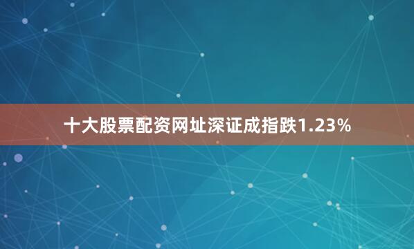 十大股票配资网址深证成指跌1.23%